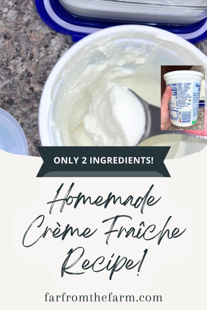 How to Make Crème Fraîche with Yogurt (Easy 2-Ingredient Substitute)