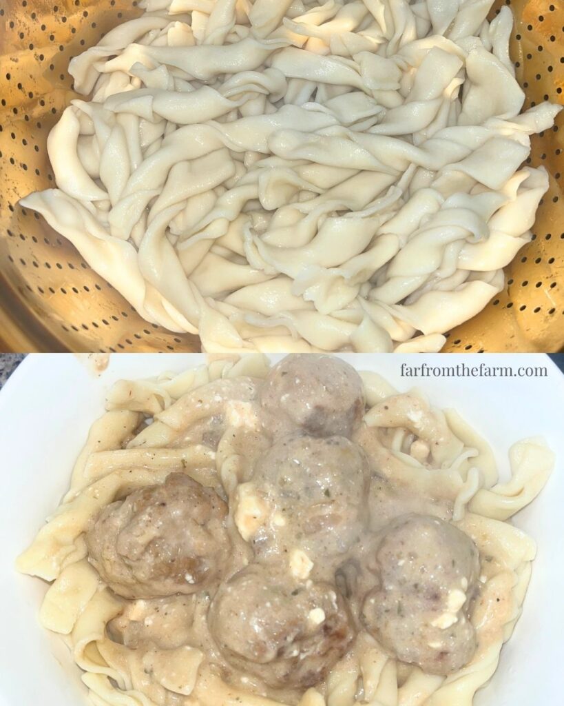 Easy Stand Mixer Homemade Egg Noodles (With Milk!)