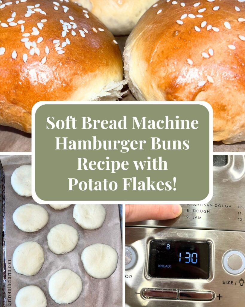 Soft Bread Machine Hamburger Buns Recipe with Potato Flakes!