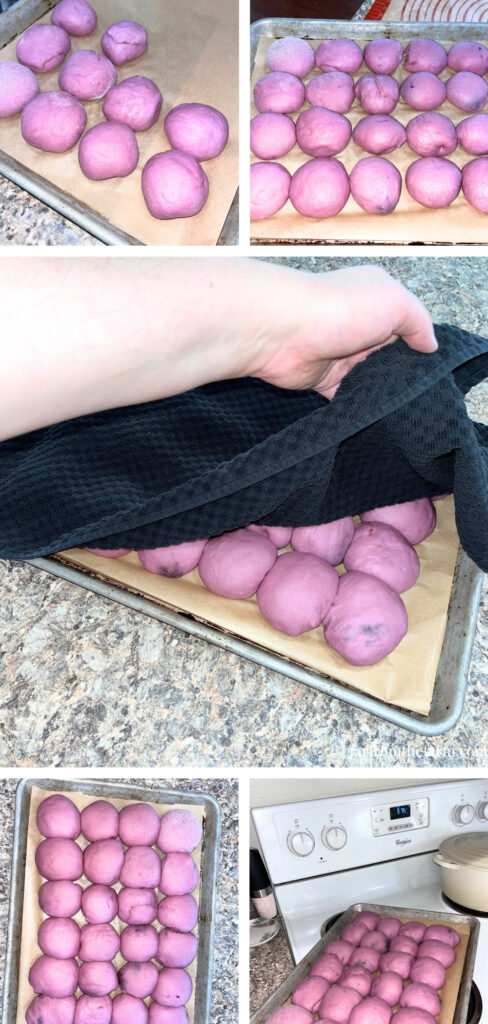 Easy Bread Machine Ube Brioche Rolls with Chocolate Peanut Butter!