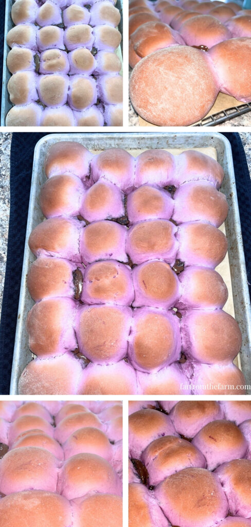 Easy Bread Machine Ube Brioche Rolls with Chocolate Peanut Butter!
