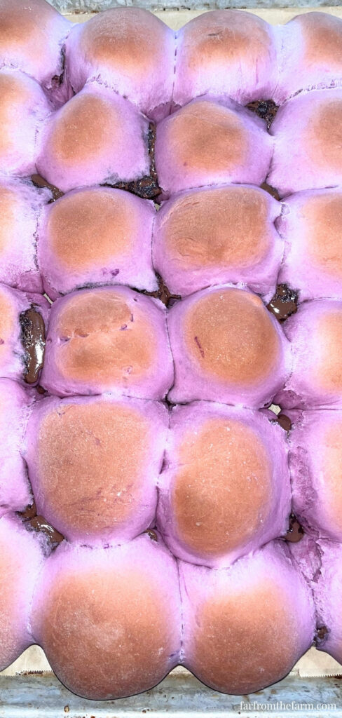 Easy Bread Machine Ube Brioche Rolls with Chocolate Peanut Butter!