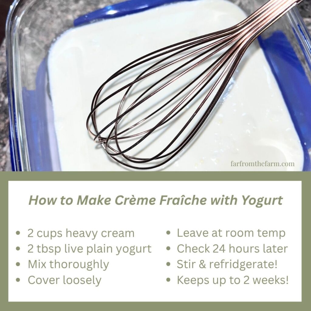 How to Make Crème Fraîche with Yogurt (Easy 2-Ingredient Substitute)