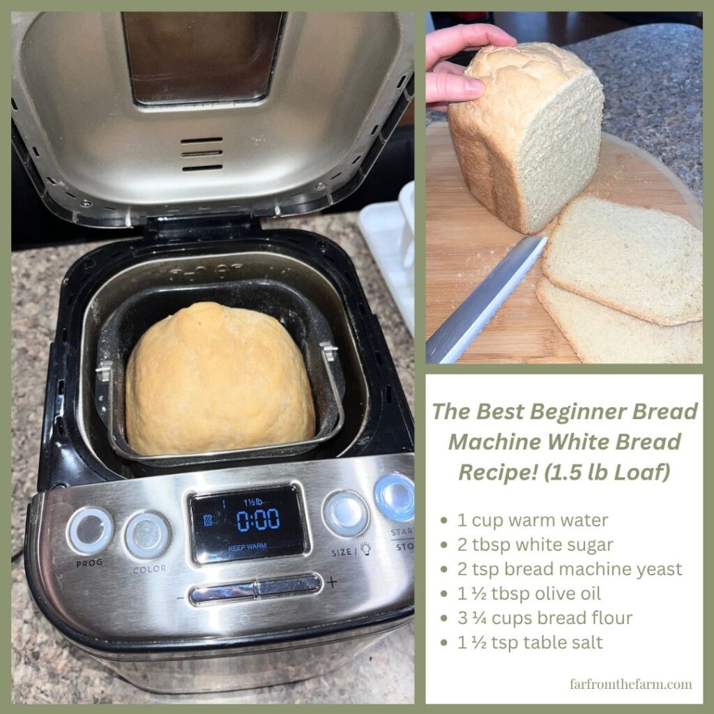 The Best Beginner Bread Machine White Bread Recipe! (1.5 lb Loaf) The Bread Machine Academy by Far From The Farm