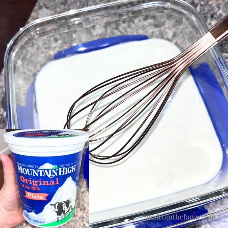 How to Make Crème Fraîche with Yogurt (Easy 2-Ingredient Substitute)
