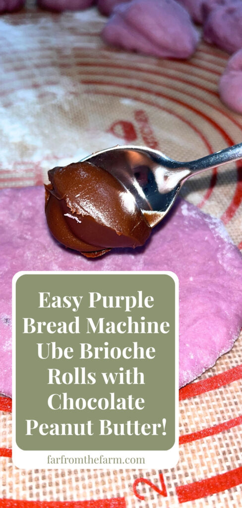 Easy Bread Machine Ube Brioche Rolls with Chocolate Peanut Butter!