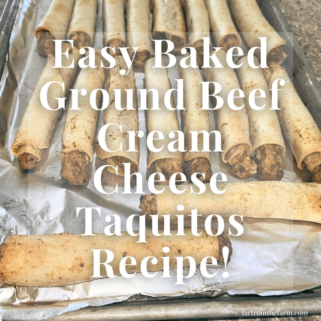 Easy Baked Ground Beef Cream Cheese Taquitos Recipe!