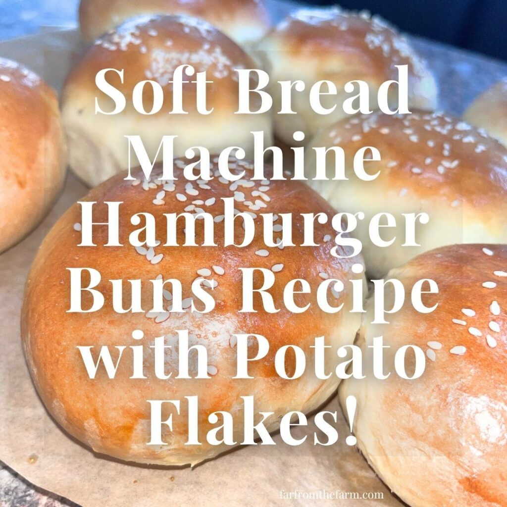 Soft Bread Machine Hamburger Buns Recipe with Potato Flakes!