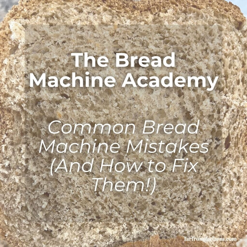 Common Bread Machine Mistakes (And How to Fix Them!)