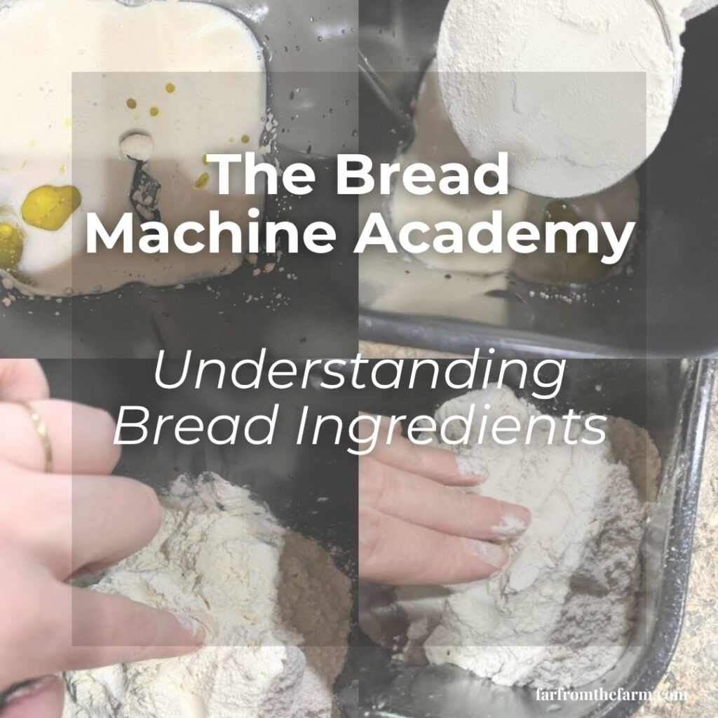 Understanding Bread Ingredients for Bread Machines