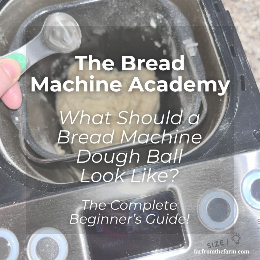 What Should a Bread Machine Dough Ball Look Like? (The Complete Beginner’s Guide)
