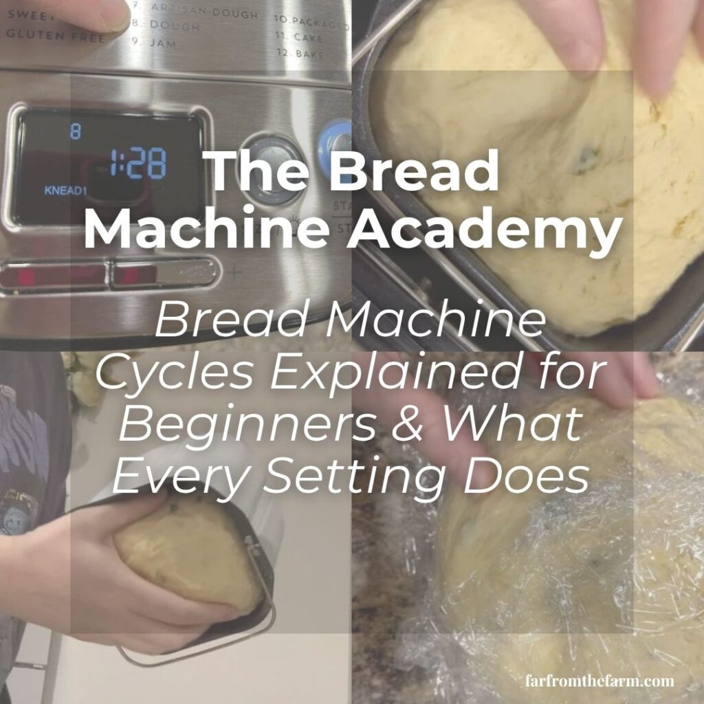 Bread Machine Cycles Explained for Beginners (What Every Setting Does)