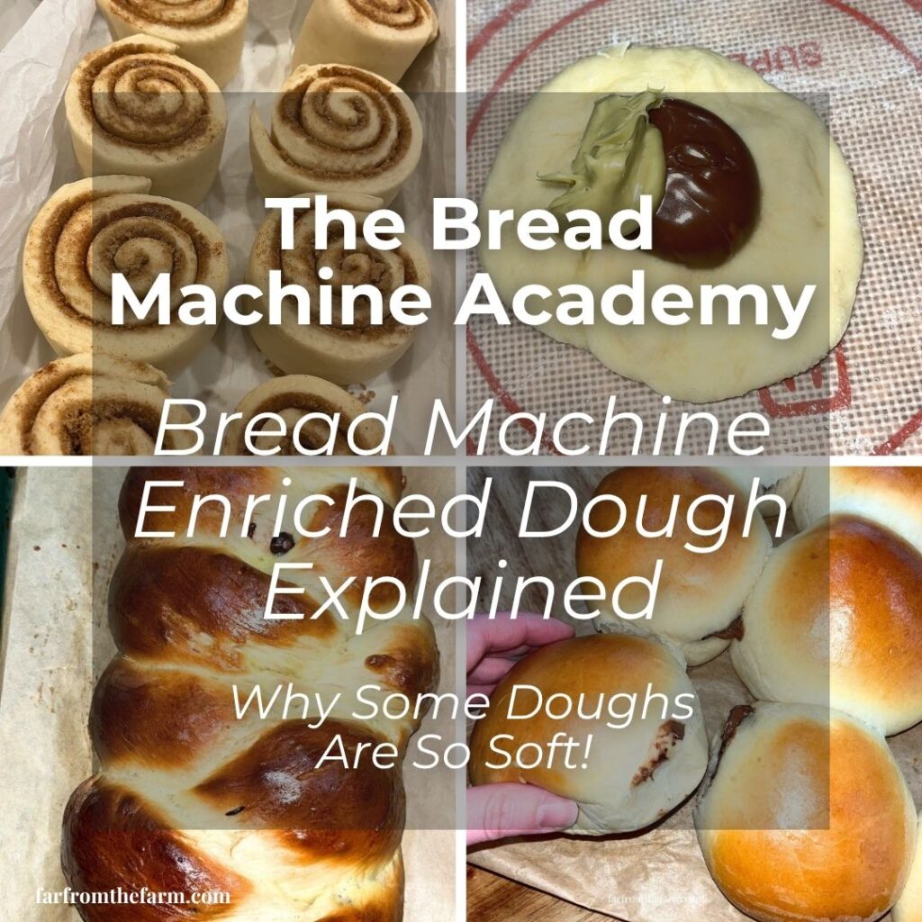 Bread Machine Enriched Dough Explained: Why Some Doughs Are So Soft!
