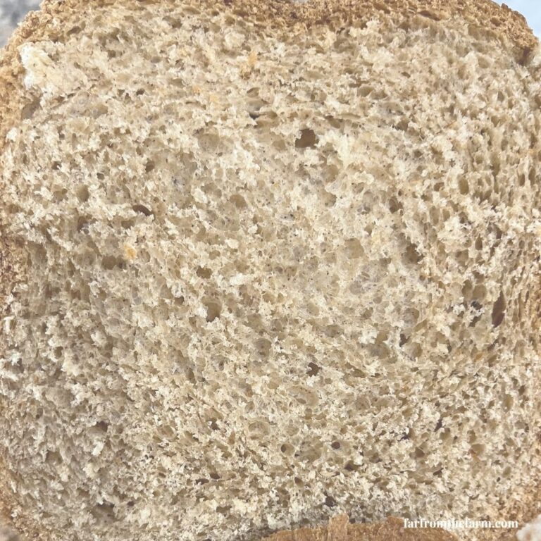 Common Bread Machine Mistakes (And How to Fix Them!)