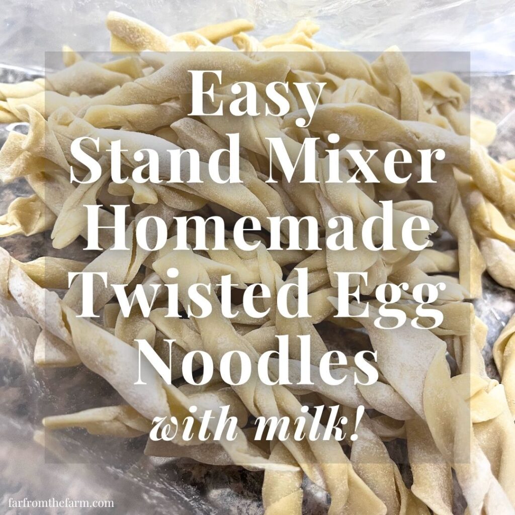 Easy Stand Mixer Homemade Egg Noodles (With Milk!)