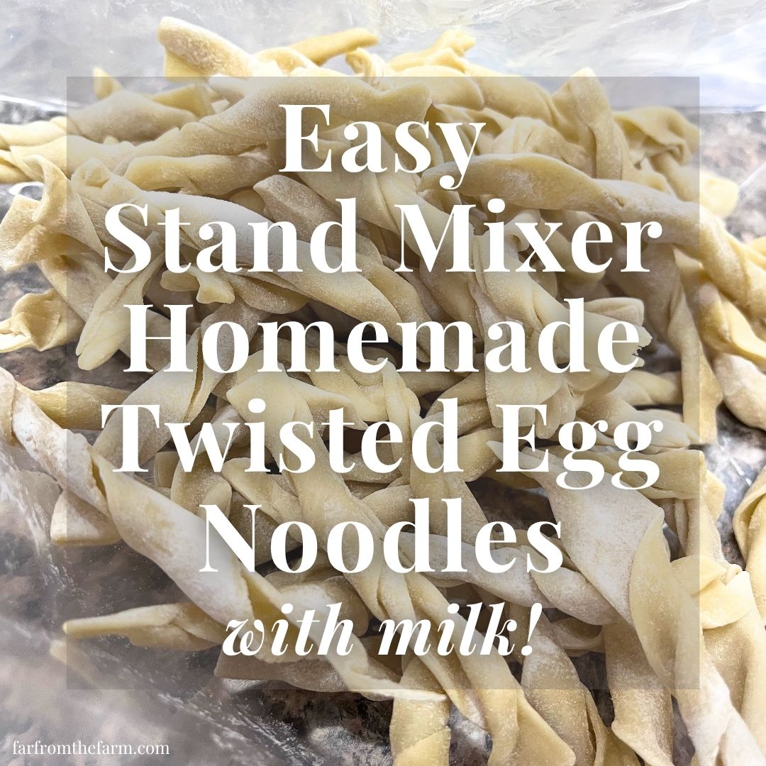 Easy Stand Mixer Homemade Egg Noodles (With Milk!)
