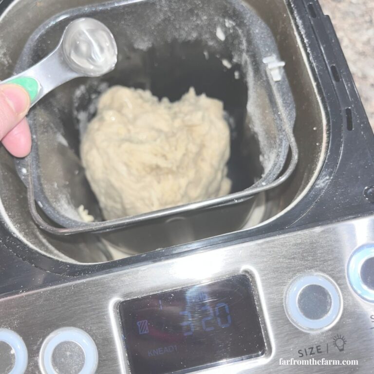 What Should a Bread Machine Dough Ball Look Like? (The Complete Beginner’s Guide)