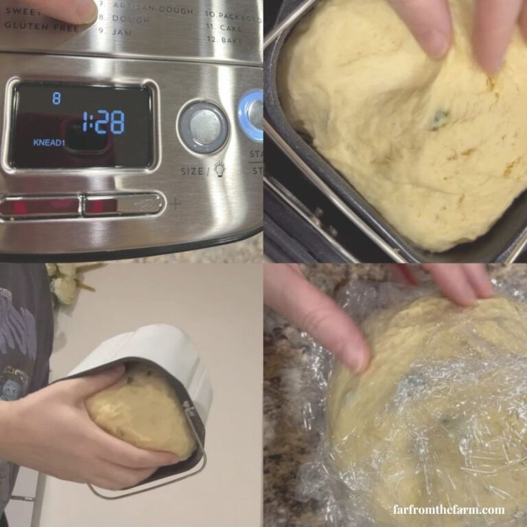 Bread Machine Cycles Explained for Beginners (What Every Setting Does)