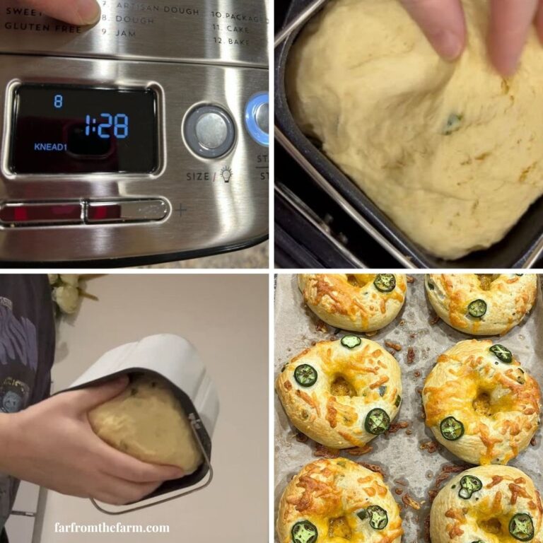 Using the Bread Machine Dough Cycle (The Complete Beginner’s Guide)