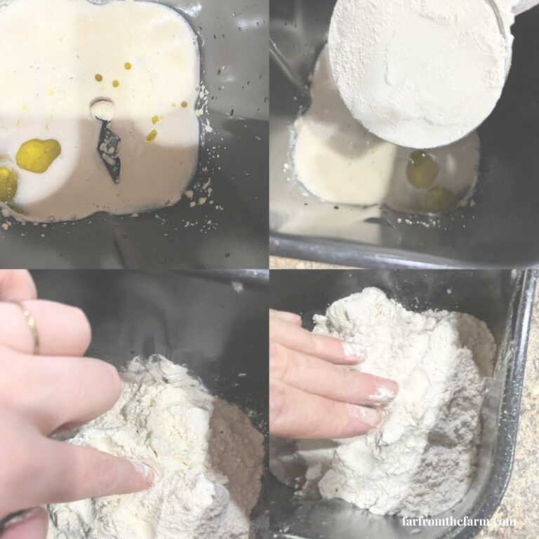 Understanding Bread Ingredients for Bread Machines