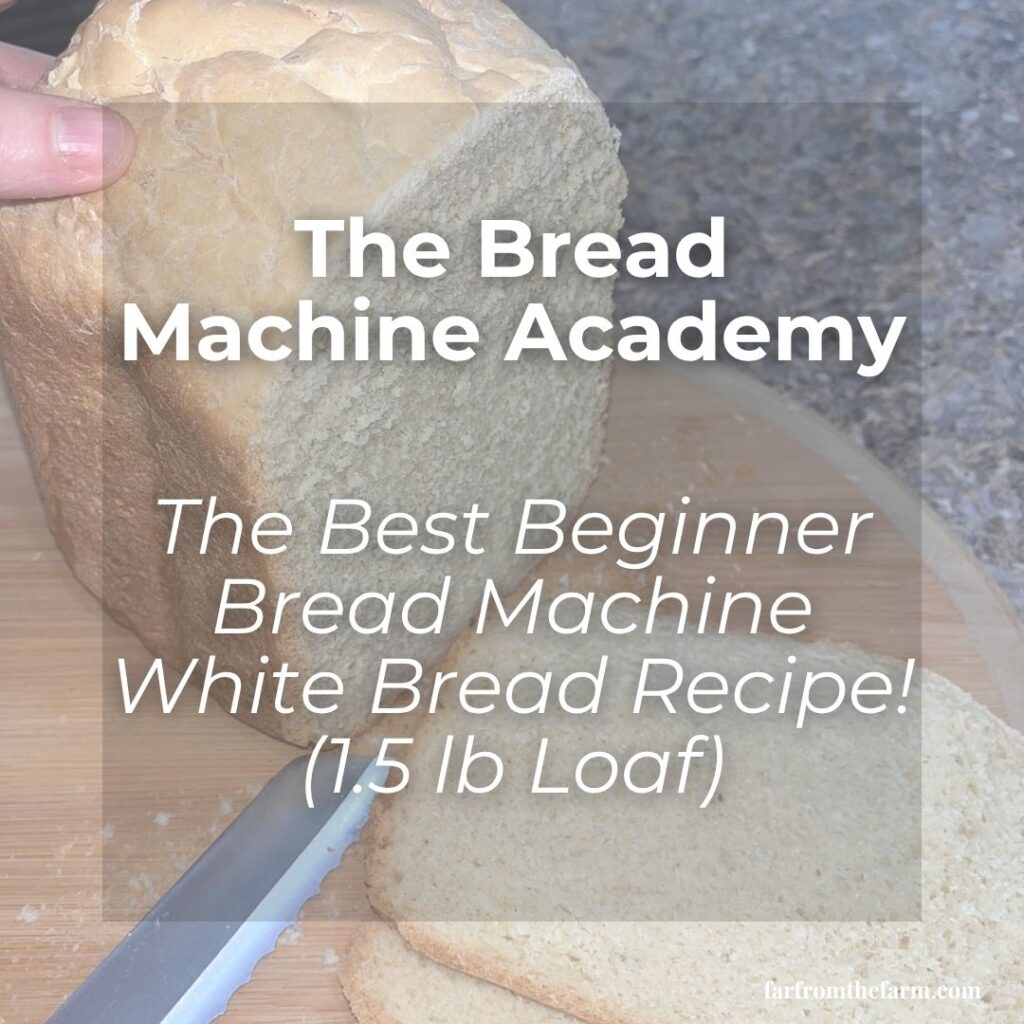 The Best Beginner Bread Machine White Bread Recipe! (1.5 lb Loaf)