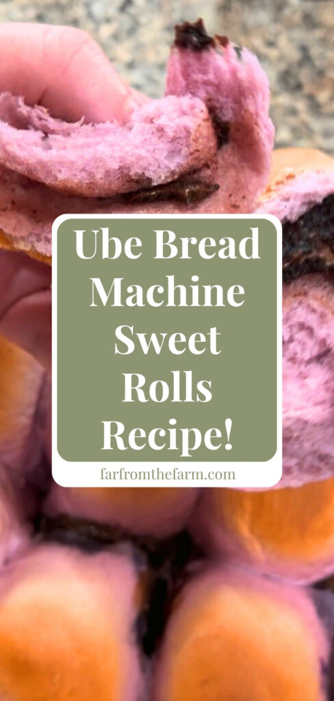 Easy Bread Machine Ube Brioche Rolls with Chocolate Peanut Butter!