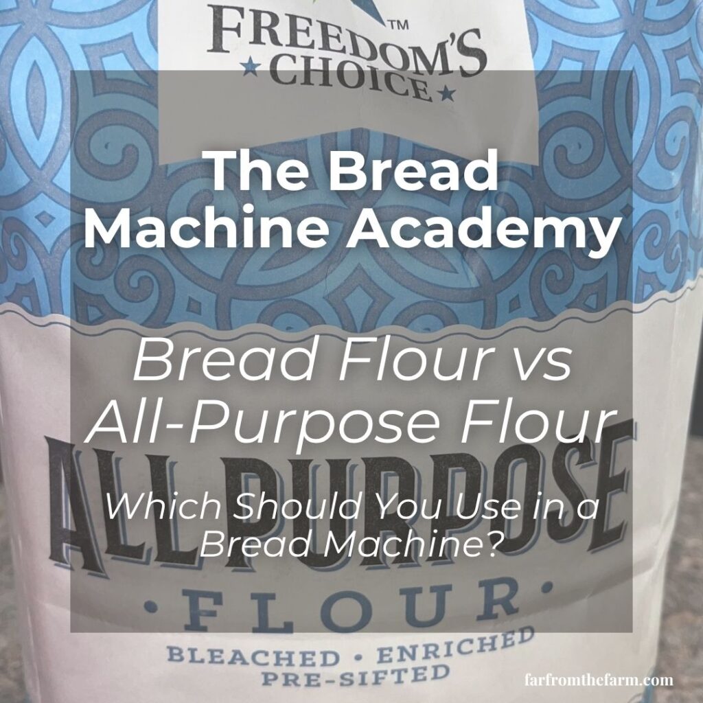 Bread Flour vs All-Purpose Flour: Which Should You Use in a Bread Machine?