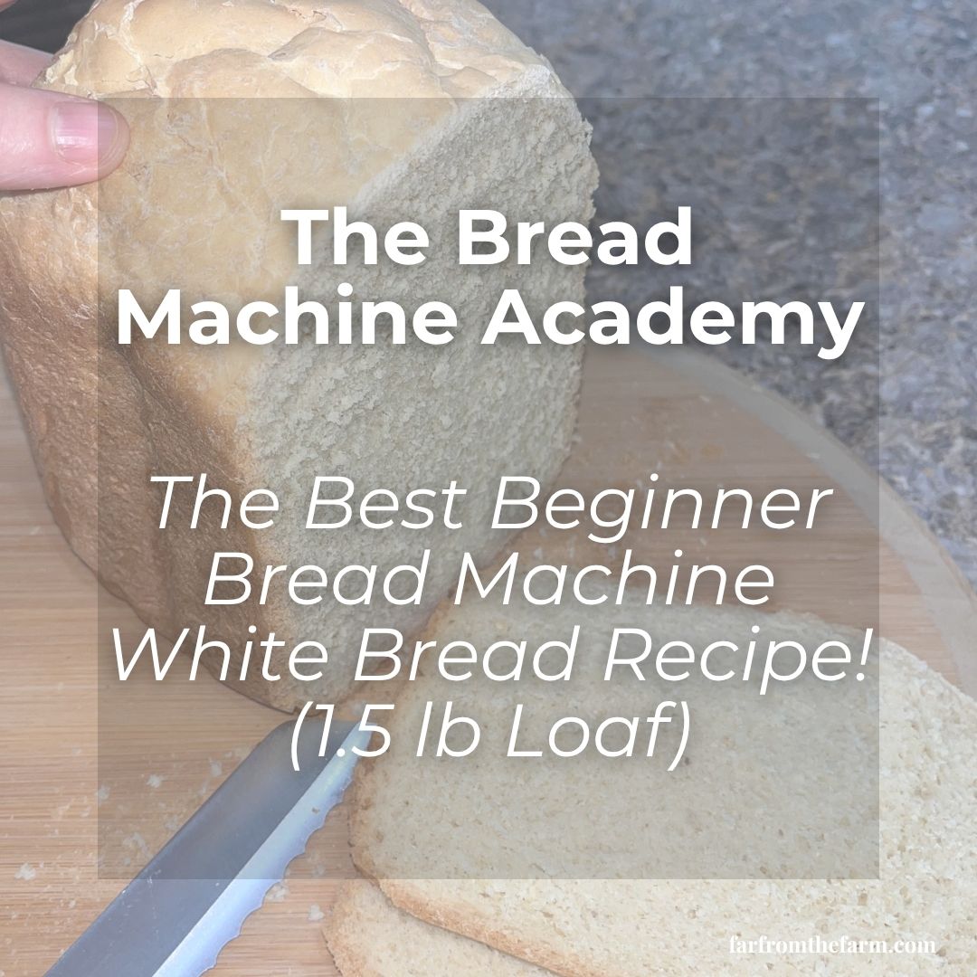 The Best Beginner Bread Machine White Bread Recipe! (1.5 lb Loaf)