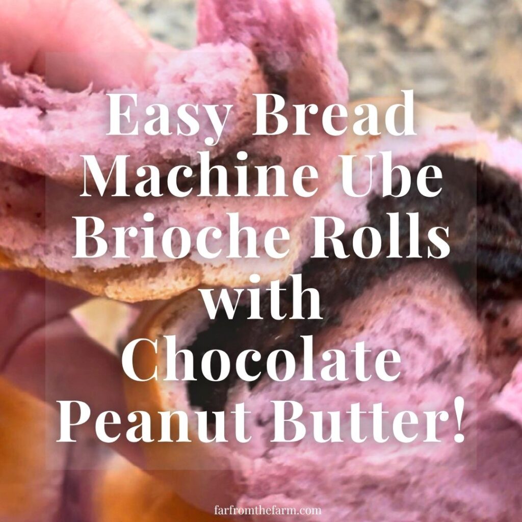 Easy Bread Machine Ube Brioche Rolls with Chocolate Peanut Butter!