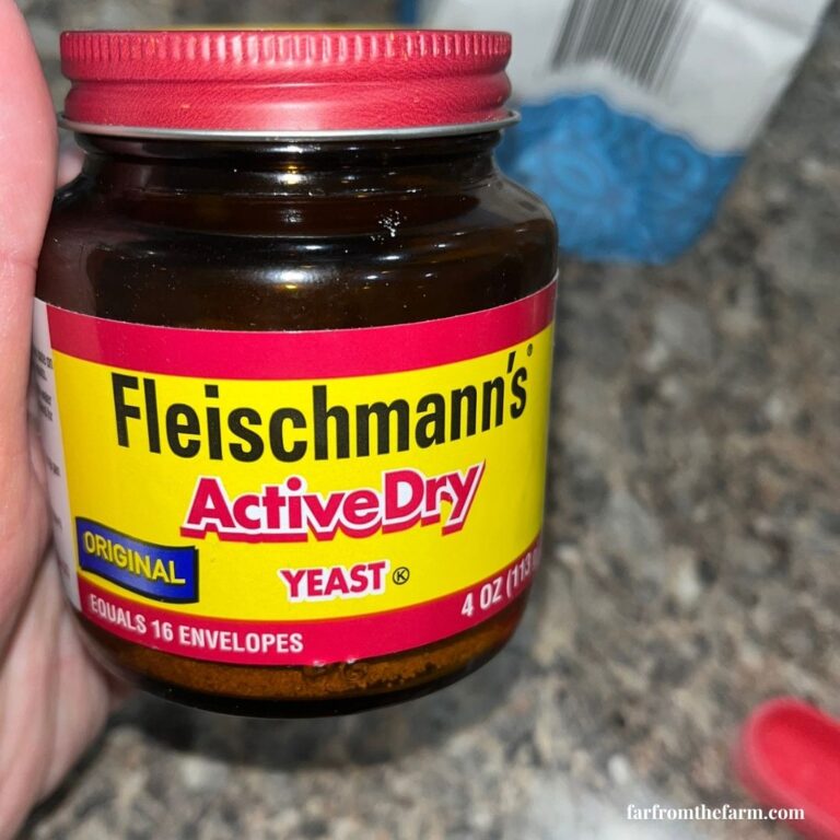 Bread Machine Yeast vs Active Dry Yeast (The Complete Beginner’s Guide)