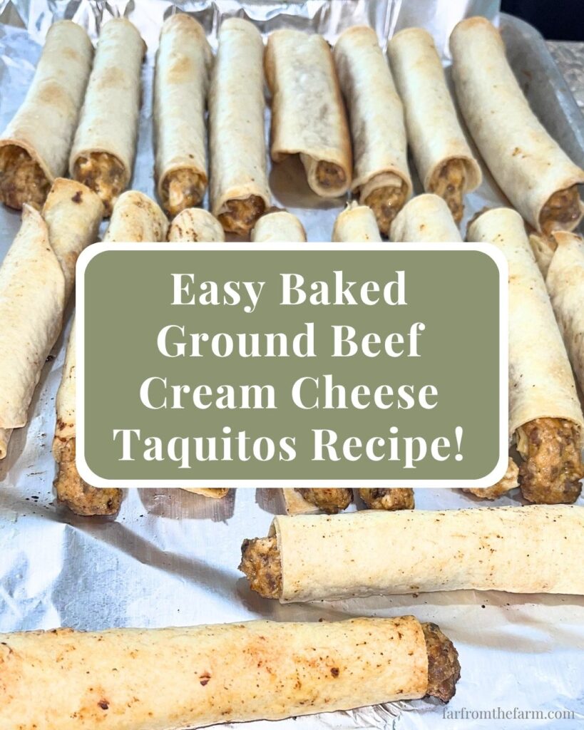 Easy Baked Ground Beef Cream Cheese Taquitos Recipe!