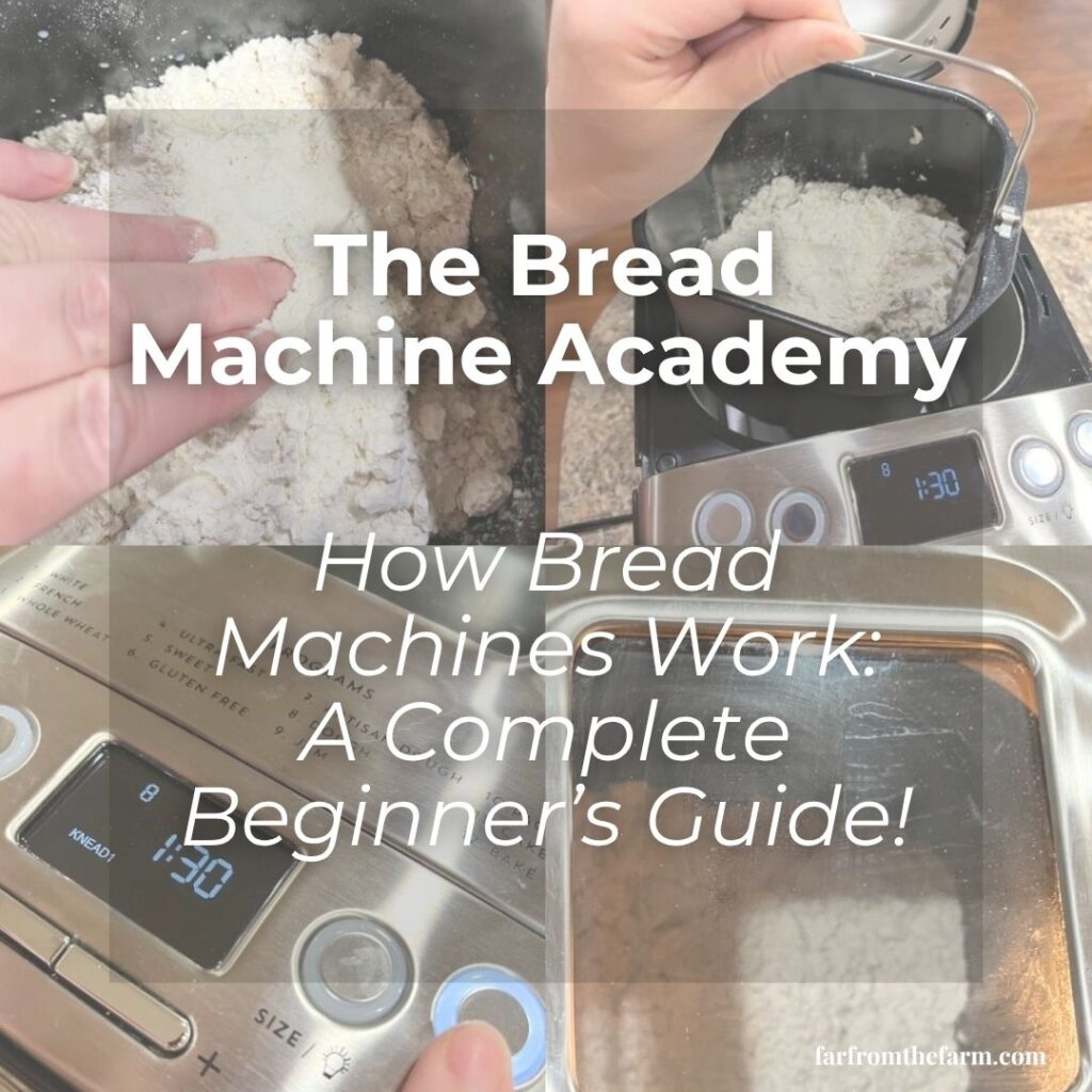 How Bread Machines Work: A Complete Beginner’s Guide