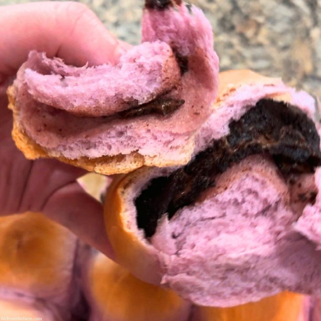 Easy Bread Machine Ube Brioche Rolls with Chocolate Peanut Butter!