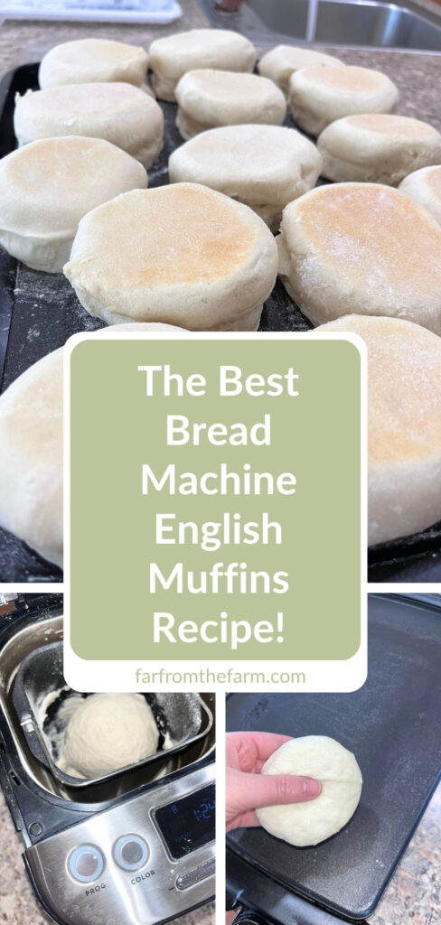 The Best Bread Machine English Muffins Recipe!
