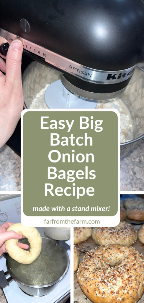 Easy Big Batch Onion Bagels Recipe Made With a Stand Mixer!