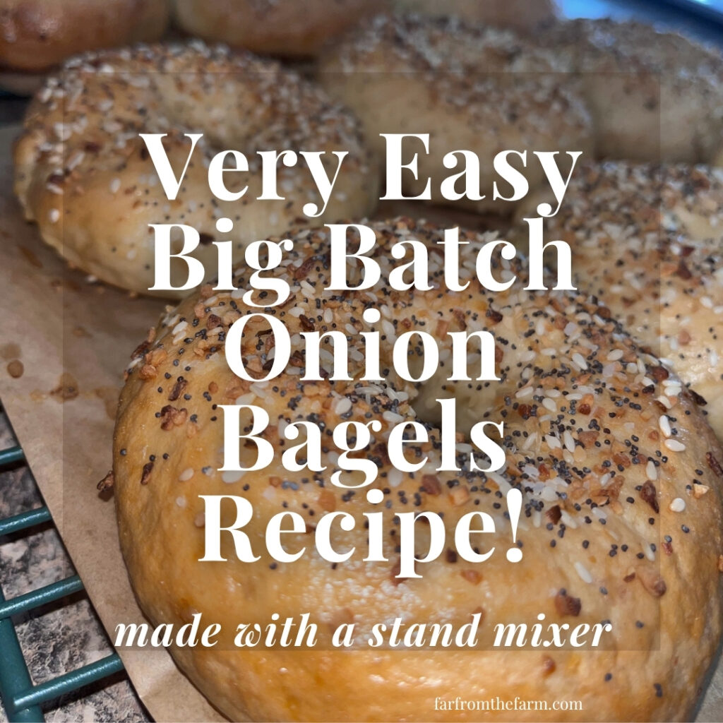 Easy Big Batch Onion Bagels Recipe Made With a Stand Mixer!