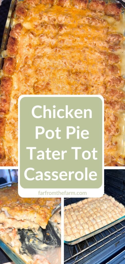 Easy Pantry Chicken Pot Pie Tater Tot Casserole Recipe!