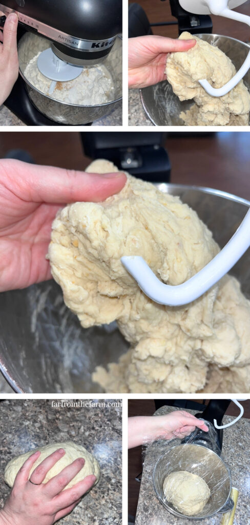 Easy Big Batch Onion Bagels Recipe Made With a Stand Mixer!