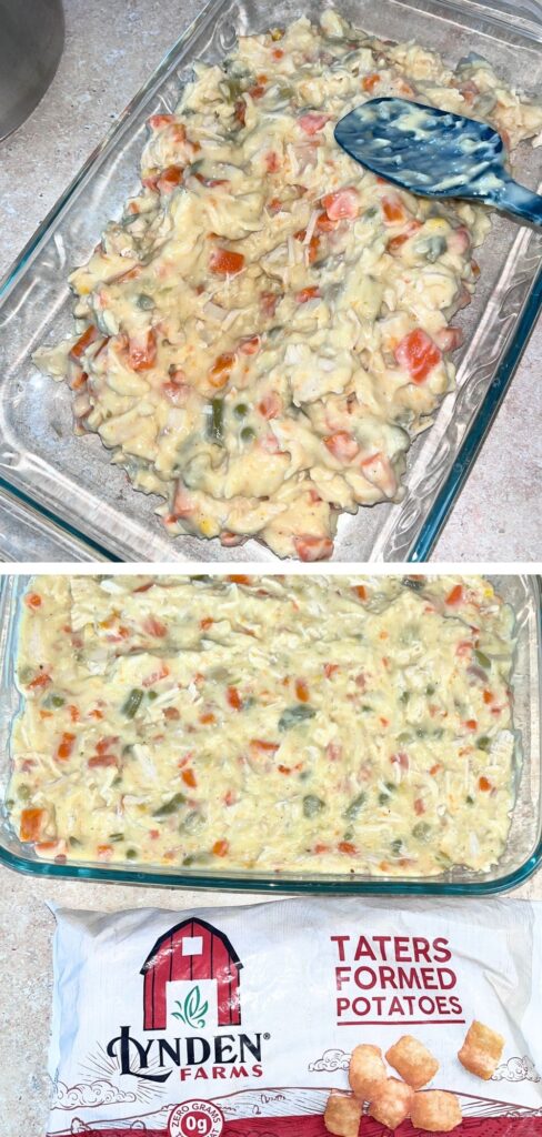 Easy Pantry Chicken Pot Pie Tater Tot Casserole Recipe!