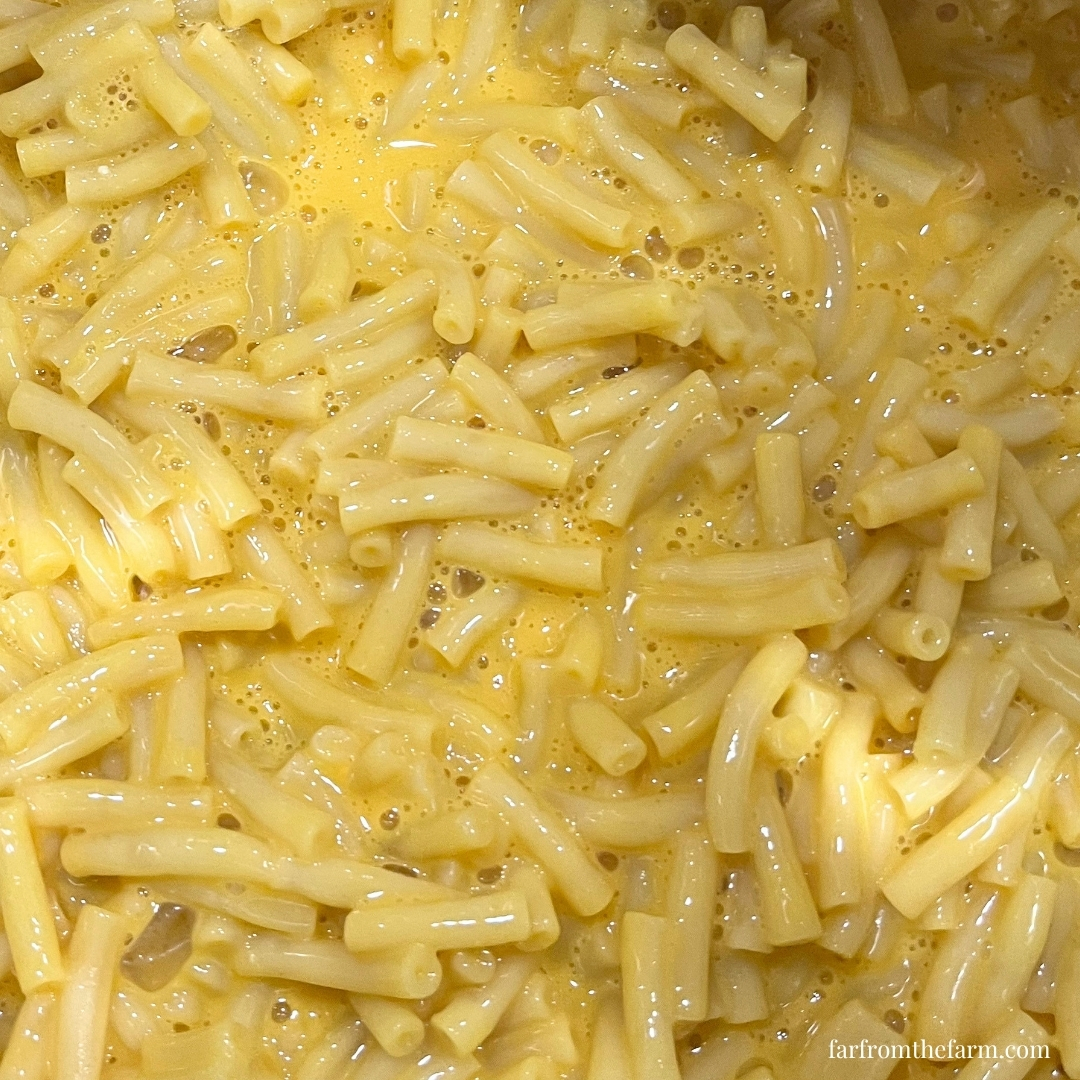 How to Make Boxed Kraft Mac and Cheese Lower in Fat with an Instant Pot!