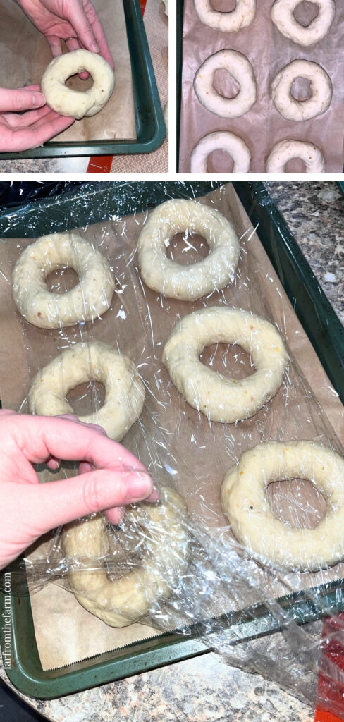 Easy Big Batch Onion Bagels Recipe Made With a Stand Mixer!