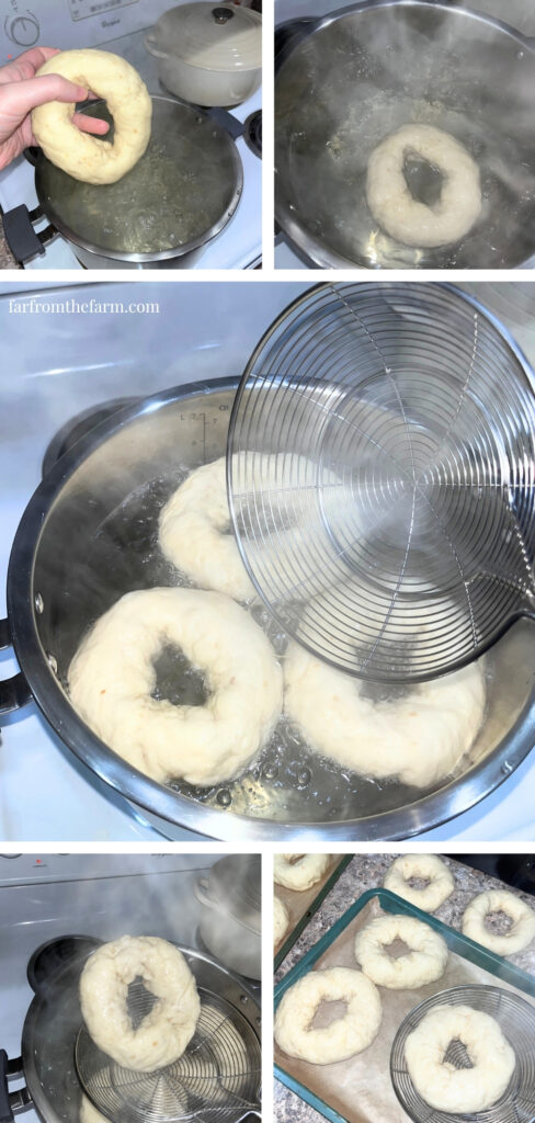 Easy Big Batch Onion Bagels Recipe Made With a Stand Mixer!