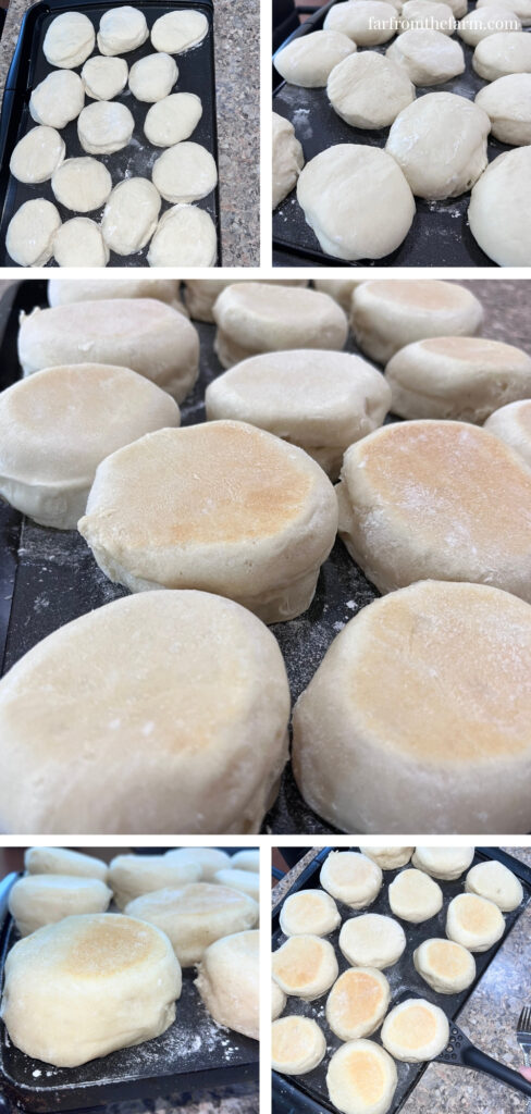 The Best Bread Machine English Muffins Recipe!