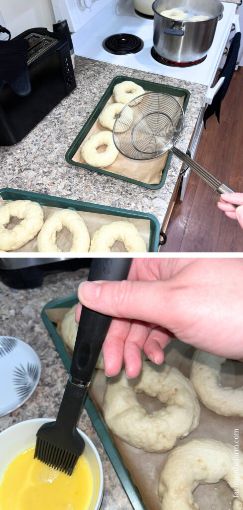 Easy Big Batch Onion Bagels Recipe Made With a Stand Mixer!