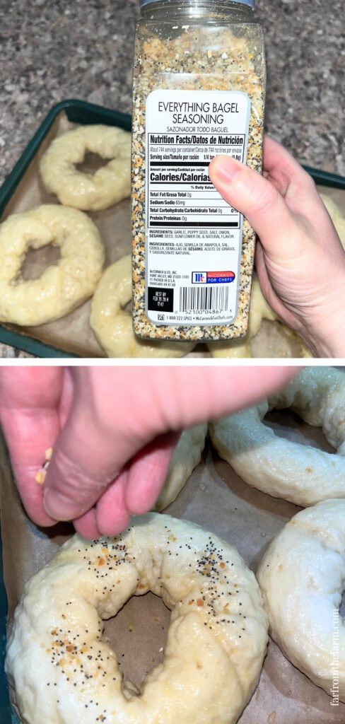 Easy Big Batch Onion Bagels Recipe Made With a Stand Mixer!