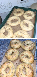 Easy Big Batch Onion Bagels Recipe Made With a Stand Mixer!