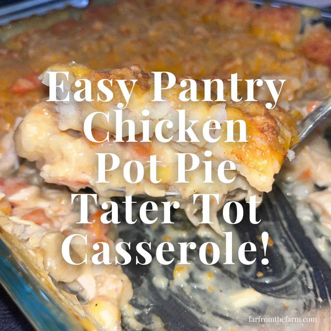 Easy Pantry Chicken Pot Pie Tater Tot Casserole Recipe!