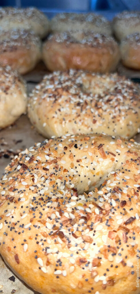 Easy Big Batch Onion Bagels Recipe Made With a Stand Mixer!