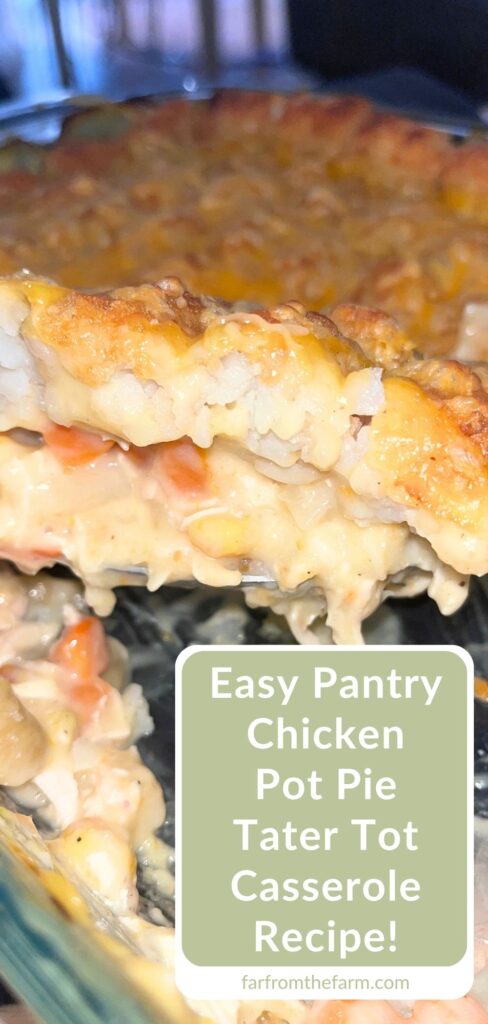 Easy Pantry Chicken Pot Pie Tater Tot Casserole Recipe!