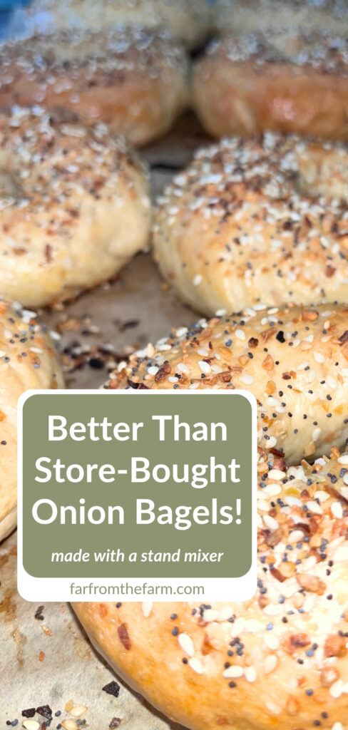 Easy Big Batch Onion Bagels Recipe Made With a Stand Mixer!